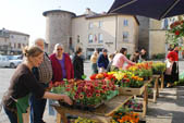 vente fleurs